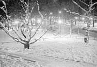 Snöigt Humlegården upplyst på kvällen.