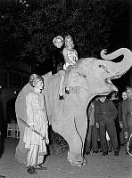 Skansen. Cirkusartisterna Gerda Rostando och Greta Malmstorp gör entré ridandes på en elefant vid öppnandet av Djurgårdsmässan.