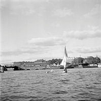 Riddarfjärden, mot Stadshusbron och Klara Mälarstrand. Sjöscouternas seglingstävling.