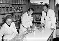 Statens bakteriologiska laboratorium. Professor S. Gard och laboratoriebiträdena Eva Olsson och Brita Moberg utför tester med möss.