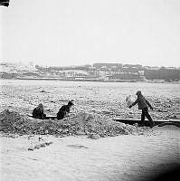 Norr Mälarstrand. Barn leker i snön. Vy mot Söder Mälarstrand, Riddarfjärden och Skinnarviksberget (t.v.).