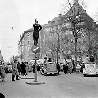 Narvavägen. Folksamling tittar på studentkarneval. Folk har klättrat upp i träd, på biltak och i gatlyktor för att kunna se.