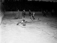 Stadion. Ishockeymatch mellan Hammarby och Djurgården.