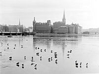 Änder på Riddarfjärden med Riddarholmen i bakgrunden.