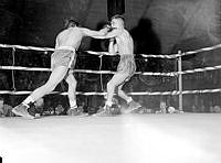 Proffsboxning i Kungliga hallen, Lidingövägen 75.