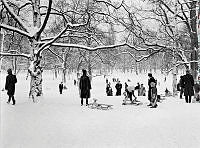 Kälkåkning i Vasaparken.