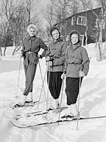 Hagasessorna Margareta, Birgitta och Désirée i Storlien.