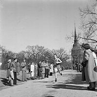 Terränglöpning på Skansen. I bakgrunden Hällestadsstapeln.