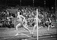 Stockholm Stadion. Friidrottstävling.