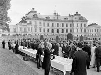 Botanister i Drottningholms slottspark.