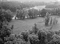 Utsikt över Drottningholmsparken från Götiska tornet. Får på bete.