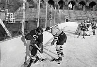 Stockholm Stadion. AIK och Södertälje SK tränar ishockey tillsammans.