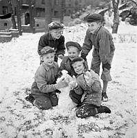 Fem pojkar gör en snögubbe i snön.