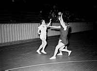 Handbollsfinal, mellan Armélottor och Flyglottor.