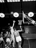 Ringvägen 68-70. Basketbollsmatch i Eriksdalshallen. Israels olympiska basketbollag möter ett svenskt lag.