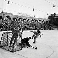 Stadion. Ishockeymatch mellan AIK och Hammarby.