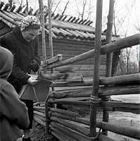 Skansen. En ekorre hoppar ner i en kvinnas handväska.