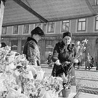 Östermalmstorg. En kvinna i leopardmönstrad päls handlar blommor på torget.