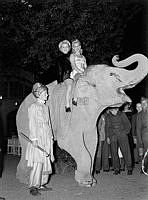 Skansen. Cirkusartisterna Gerda Rostando och Greta Malmstorp gör entré ridandes på en elefant vid öppnandet av Djurgårdsmässan.