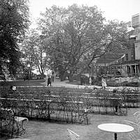 Berzelii Park. Berns i fonden