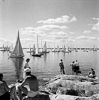 Sandhamnsregattan. Folk tittar på seglingen från klippor.