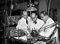 Solnavägen 1. Medicinsk läkarstämma på Karolinska institutet. Demonstration av hjärnbarkens elektriska aktivitet på en apa. Fr. v. Dr. I. Petersén, Prof. C. G. Bernhard och Dr. E. Bohn.