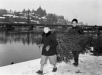 Munkbroleden/Kornhamn, kajkanten, vy mot sydväst. Pojkarna Hans Hertsjö och Lars Jansson bär en julgran från försäljningen på Kornhamnstorg.