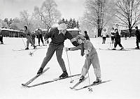 Hagaparken, Stora Pelousen nedanför Koppartälten. Skidskola.