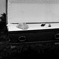 Emilia Lindgrens stoft vilar i kista utanför huset i Rävsnäs. Strax ska locket stängas och den sista färden ta vid.