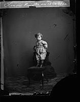 Konsul Smidts son, Yngre