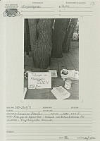 $field.value