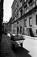 Blomsterhandlarnas vagn står utanför Norra Smedjegatan 14. På andra sidan gatan finns blomsterhandlarnas källarlokal  på Norra Smedjegatan 5.