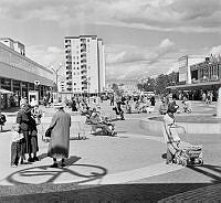 $field.value